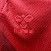 22/23 Denmark home S-XXL