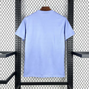 Brazil 2025/26 Light purple Jersey